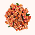 Cappuccino-Rosen