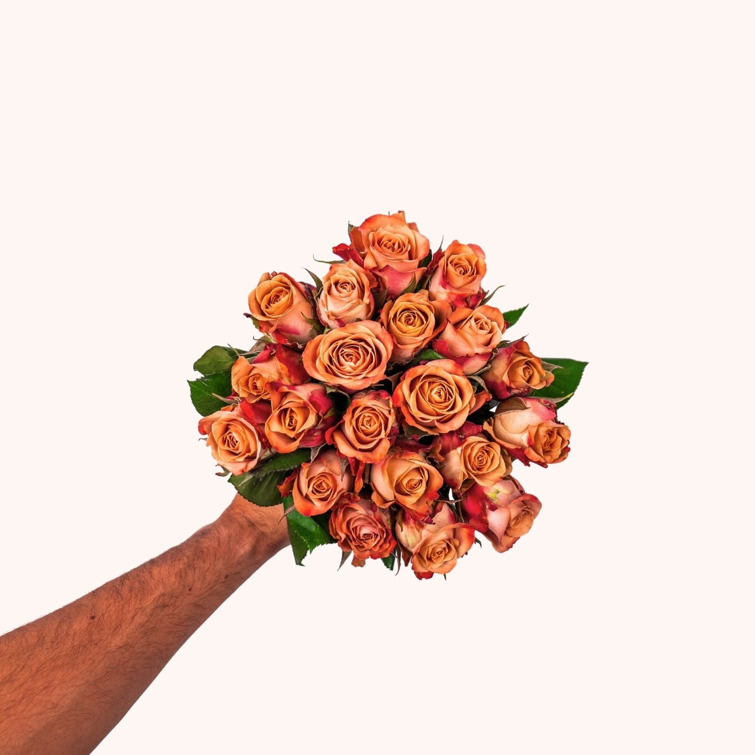 Cappuccino-Rosen