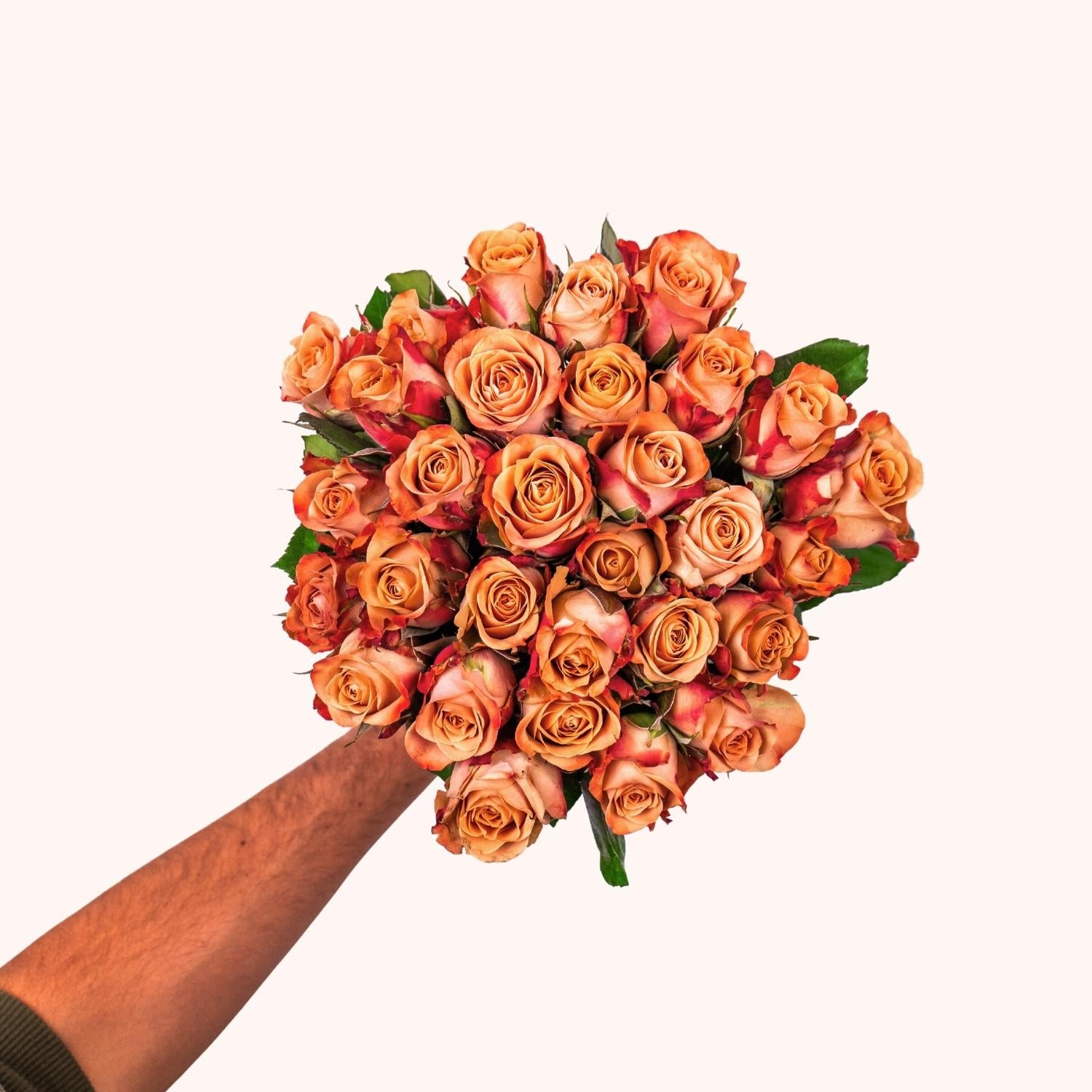 Cappuccino-Rosen