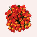 Fange Rosen