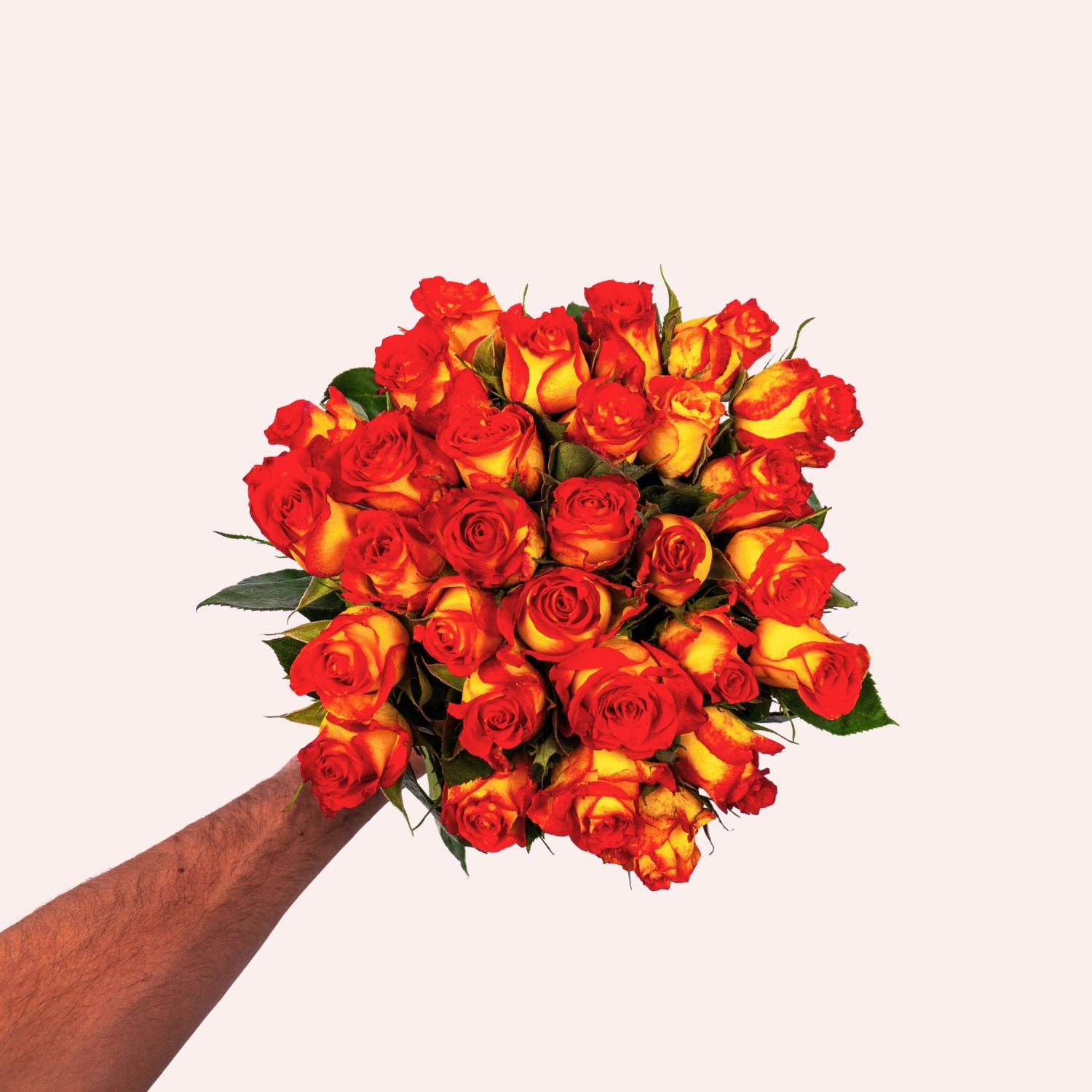 Fange Rosen
