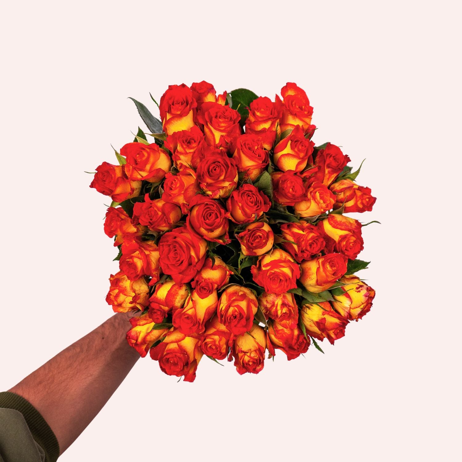 Fange Rosen