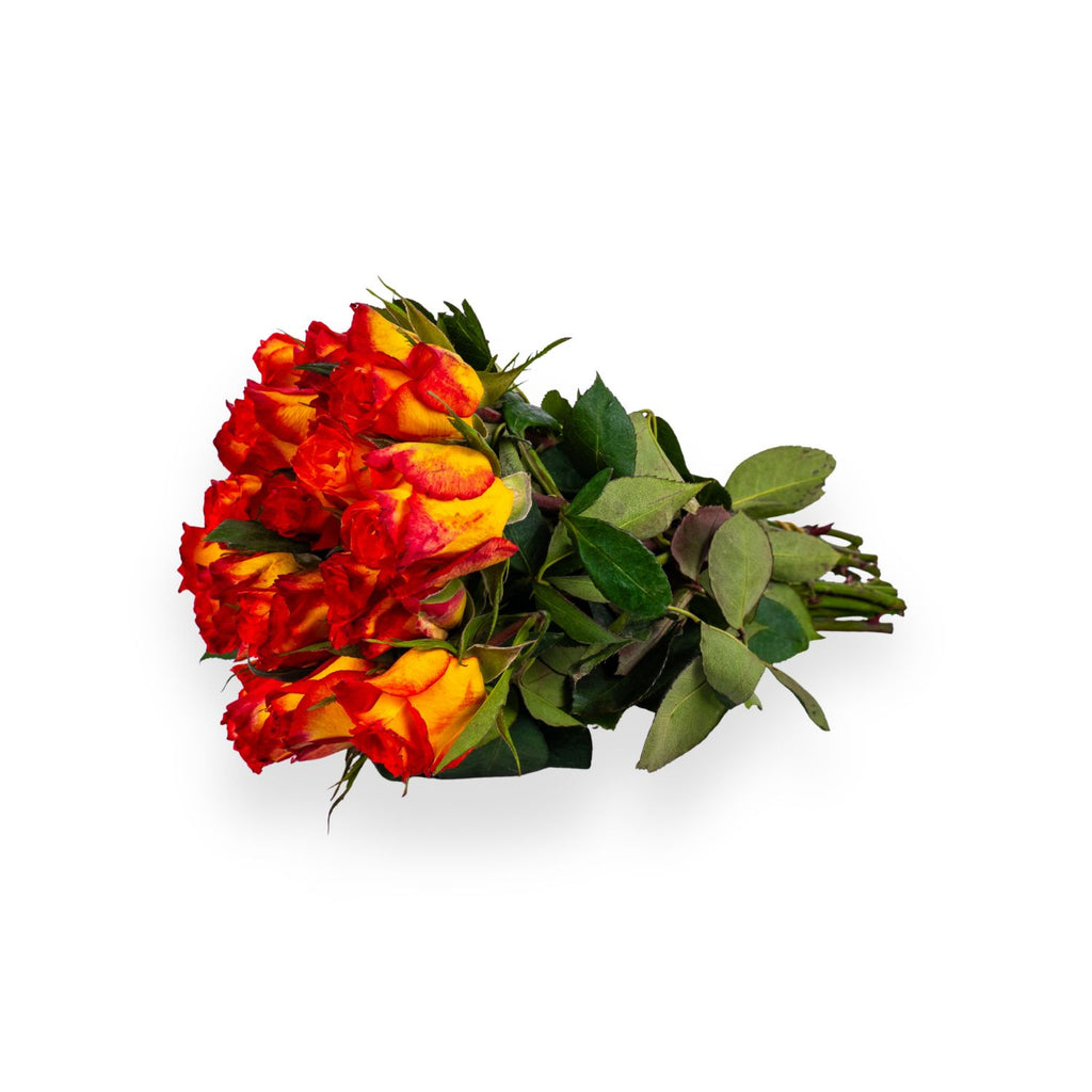 Fange Rosen