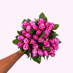 Rosa Rosen - Maritime Pink