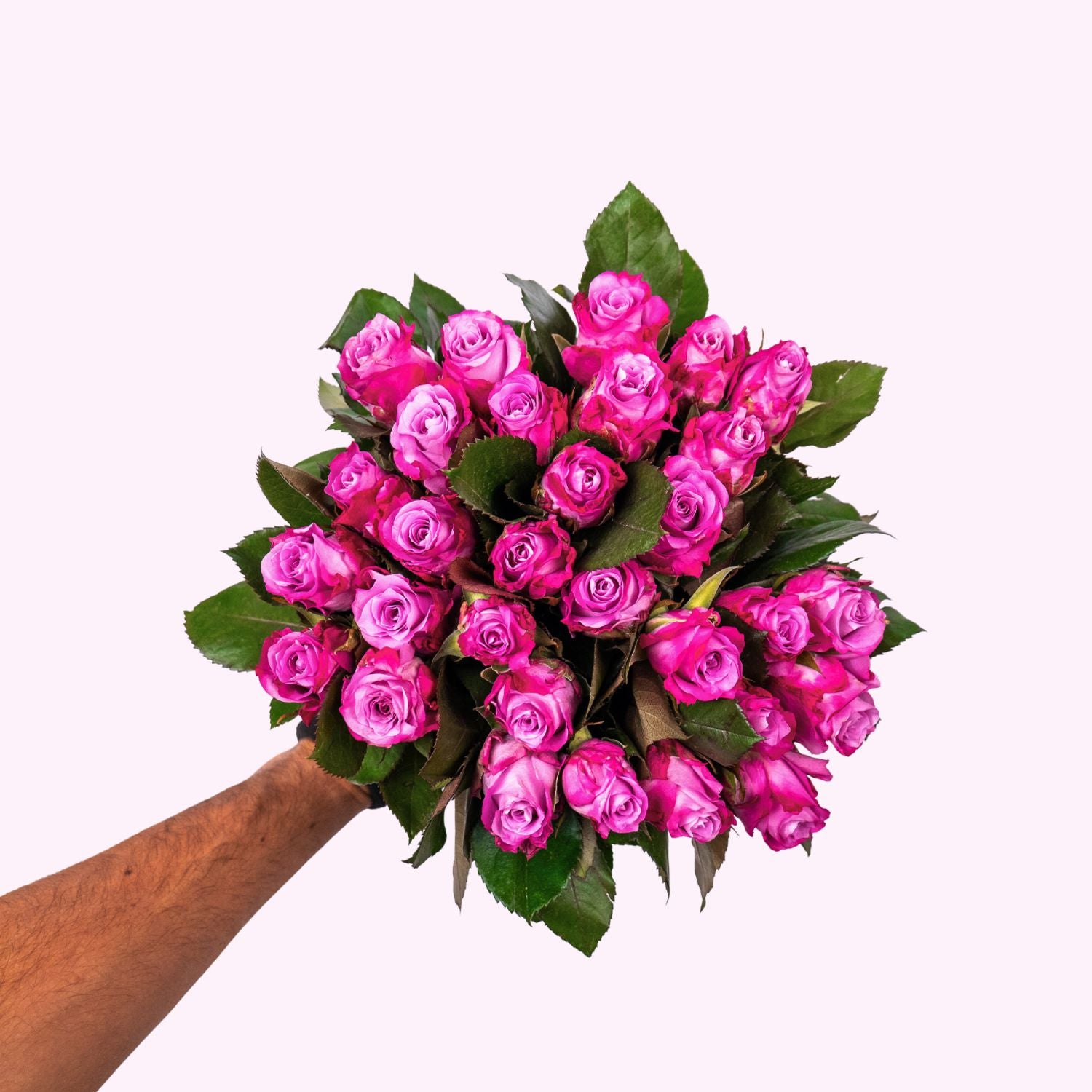 Maritime Rosen