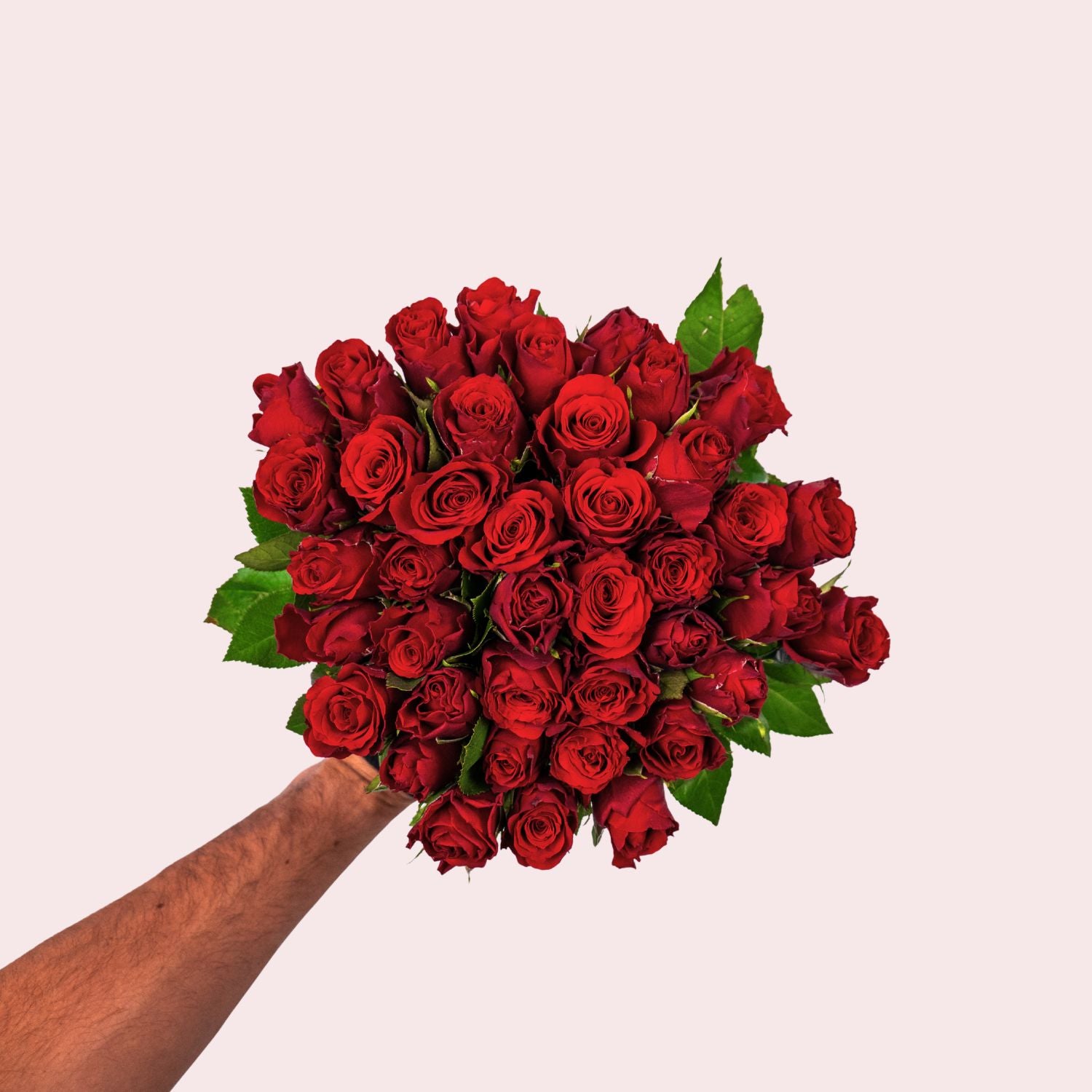 Rote Rosen