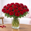 Rote Rosen - XL Rosen 60cm - EverRed