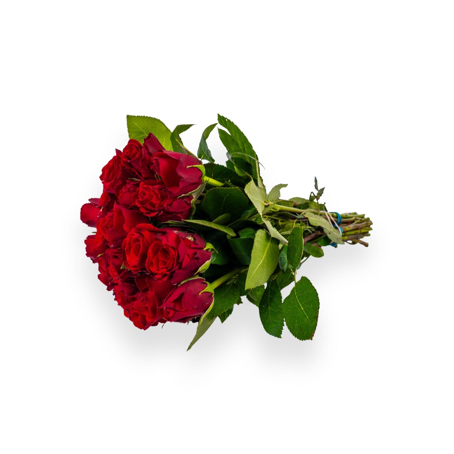 Rote Rosen
