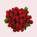 Rote Rosen