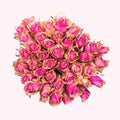 Rosa Rosen