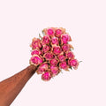 Rosa Rosen