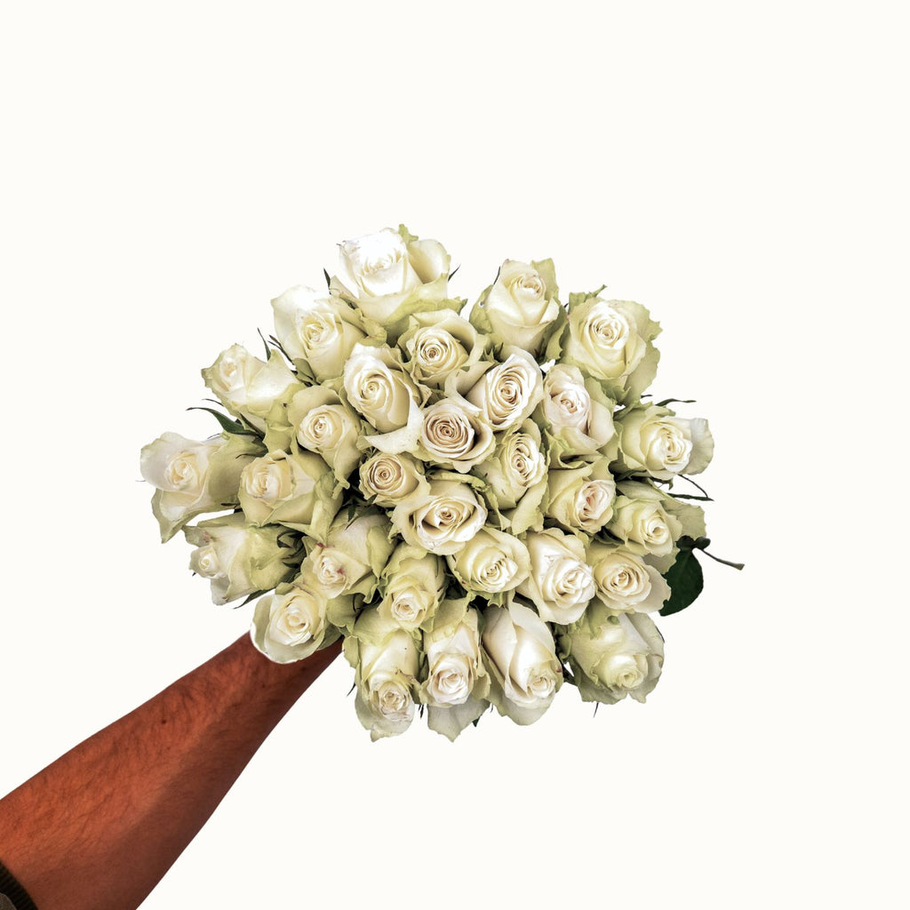 Weiße Rosen