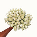Weiße Rosen