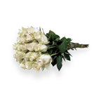 Weiße Rosen