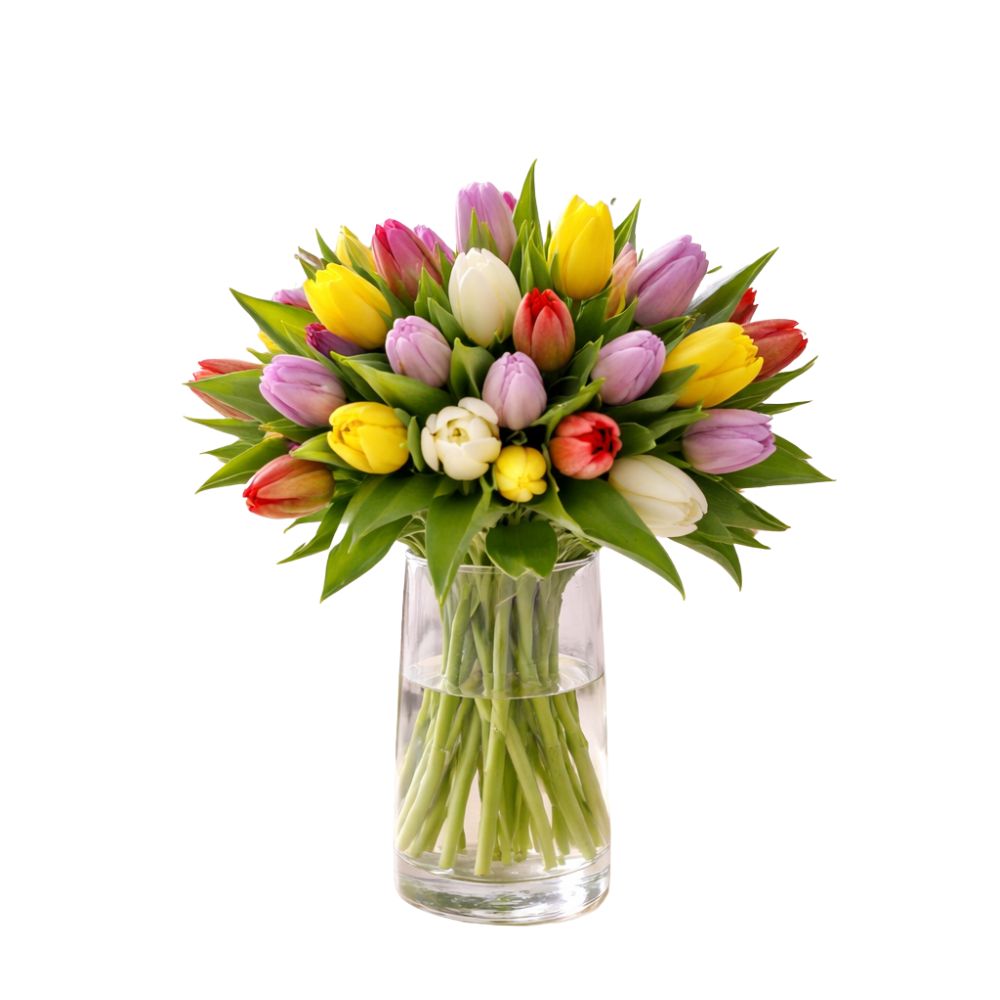 Frische Tulpen in gemischten Farben