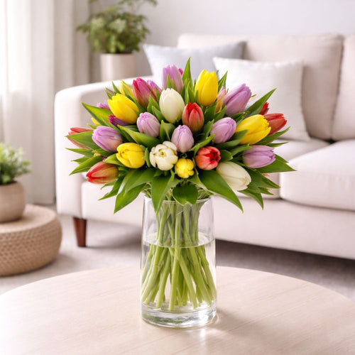 Frische Tulpen in gemischten Farben